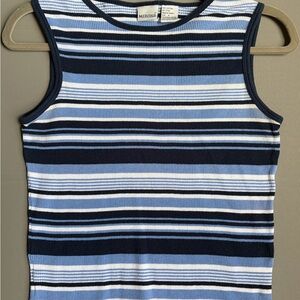 Merona Ribbed Sleeveless Stripe Tank Top in Navy, Light Blue & White